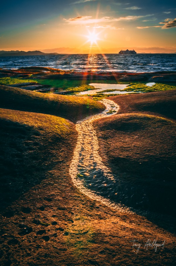 Gabriola Sunburst Hi Res    by Tracy Abildgaard